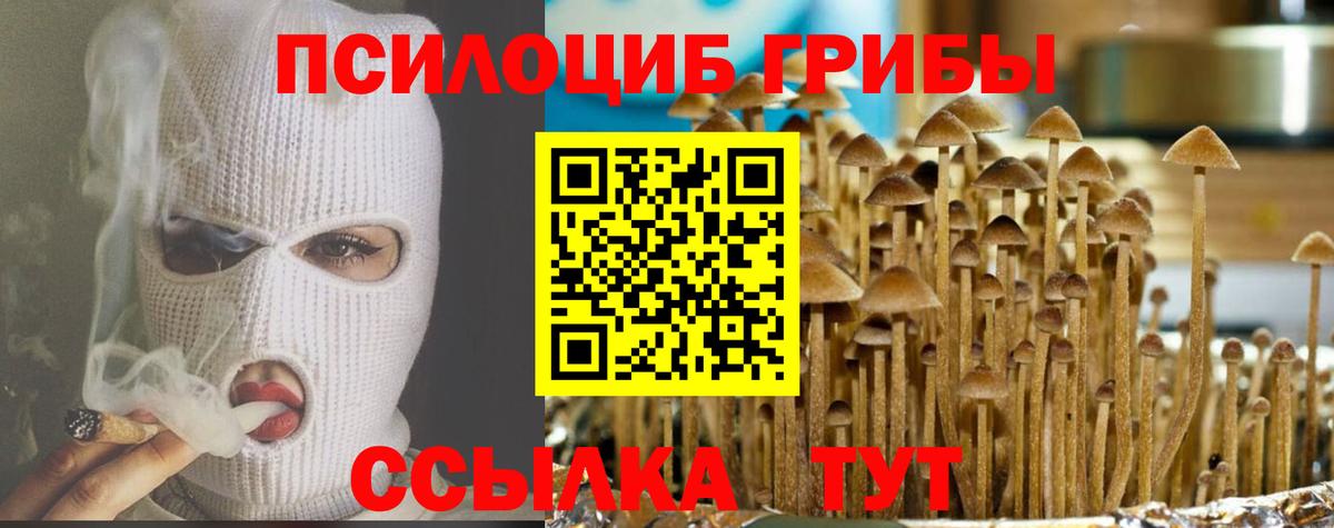 Псилоцибиновые грибы MAGIC MUSHROOMS Усть-Кут