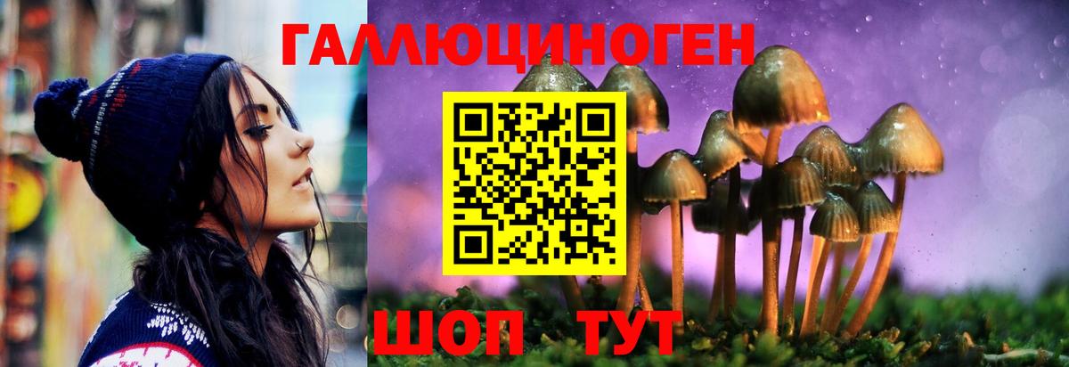 Псилоцибиновые грибы Psilocybe  где купить наркоту  Усть-Кут  Вход с VPN 